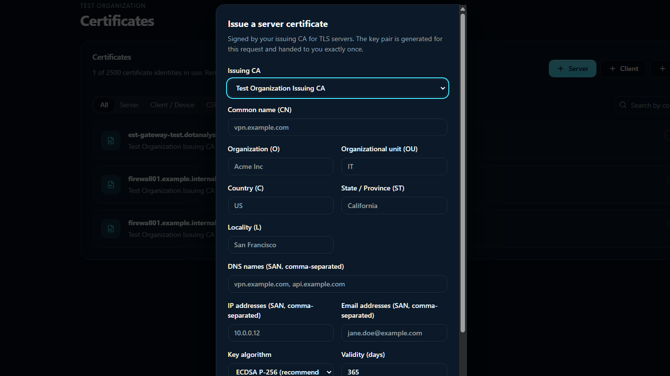 The Issue a client certificate dialog, with separate DNS, IP and email SAN inputs
